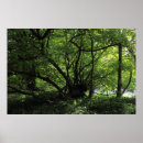 Suche nach ungewöhnliche poster Baum