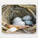 Suche nach kardinal vogel mousepads Natur