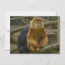 Recherche de disparition cartes postales Photographie de la nature