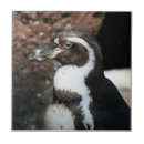 Recherche de pingouins carreaux Animal