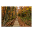 Suche nach herbstwald poster Wälder