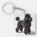 Recherche de caniche porteclés Noir