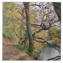 Recherche de automne carreaux Paysages