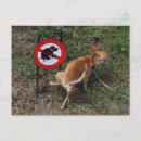 Suche nach bliss postkarten Niedlich