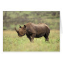 Suche nach rhinoceros postkarten Kenya