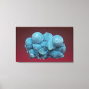 Suche nach geologie leinwandbilder Nobody