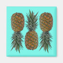 Suche nach retro ananas magnete Vintage