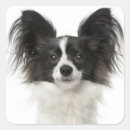 Suche nach papillon hund aufkleber Welpe