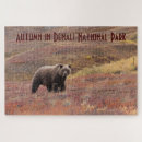 Recherche de grizzly bear puzzles Alaska
