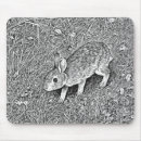 Suche nach hase mousepads Kaninchen
