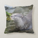 Recherche de loutres coussins Nature