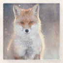 Recherche de renard rouge dessous de verres Faune