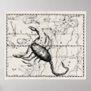 Recherche de constellations vintages posters Zodiaque