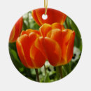 Suche nach tulpe ornamente Frühling