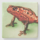 Recherche de cr dessous de verres Grenouille