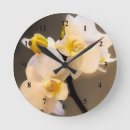Recherche de orchidée blanche horloges Pour tous