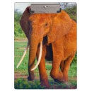 Suche nach afrikanische tiere klemmbrett Safari