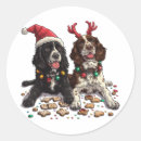 Suche nach spaniels aufkleber Liebhaber
