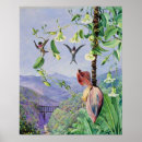 Suche nach brasilien landschaft poster Berge