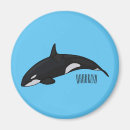 Suche nach wal cartoon magnete Killerwal