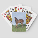 Suche nach grass spielkarten Thoroughbred