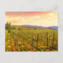 Recherche de vignobles cartes postales Vigne