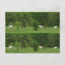 Recherche de marque pages cartes postales Cheval