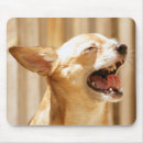 Recherche de chiwawa drôle tapis souris Chien