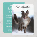 Recherche de chien drôle invitations Humoristique