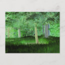 Suche nach magischer wald postkarten Bäume