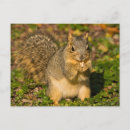 Recherche de crystal cartes postales Vert