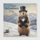 Recherche de marmottes Adorable