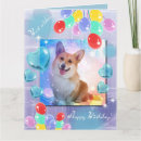 Suche nach pembrokewalisercorgi karten Corgis