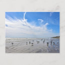 Recherche de mouette cartes postales Nuages