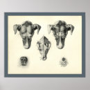 Recherche de graphique de chien art Canine