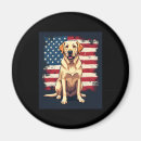 Recherche de chien de labrador magnets Chiot