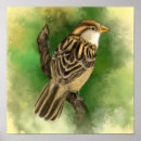 Suche nach beautiful poster Birds