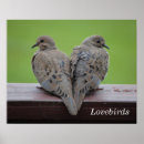Recherche de deuil posters Observation des oiseaux