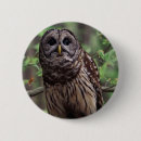 Suche nach uhu buttons Tierwelt