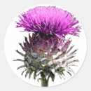 Recherche de chardons autocollants Hogmanay