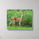 Suche nach zaun leinwandbilder Natur