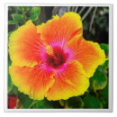 Suche nach natur foto fliesen Bunt