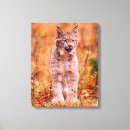 Suche nach jagd leinwandbilder Montana
