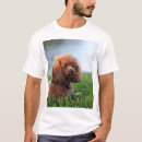 Recherche de caniche de jouet tshirts Chiot