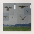 Suche nach raubvögel puzzle Naturfotografie