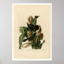 Suche nach amerikanische krähe poster Vintag