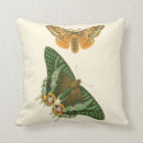 Recherche de peinture papillon coussins Nature
