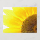 Recherche de tournesol cartes postales Soleil