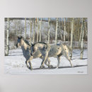 Suche nach appaloosa horse poster Foto