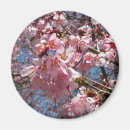 Suche nach kirschblüte blüte magnete Blumenreich